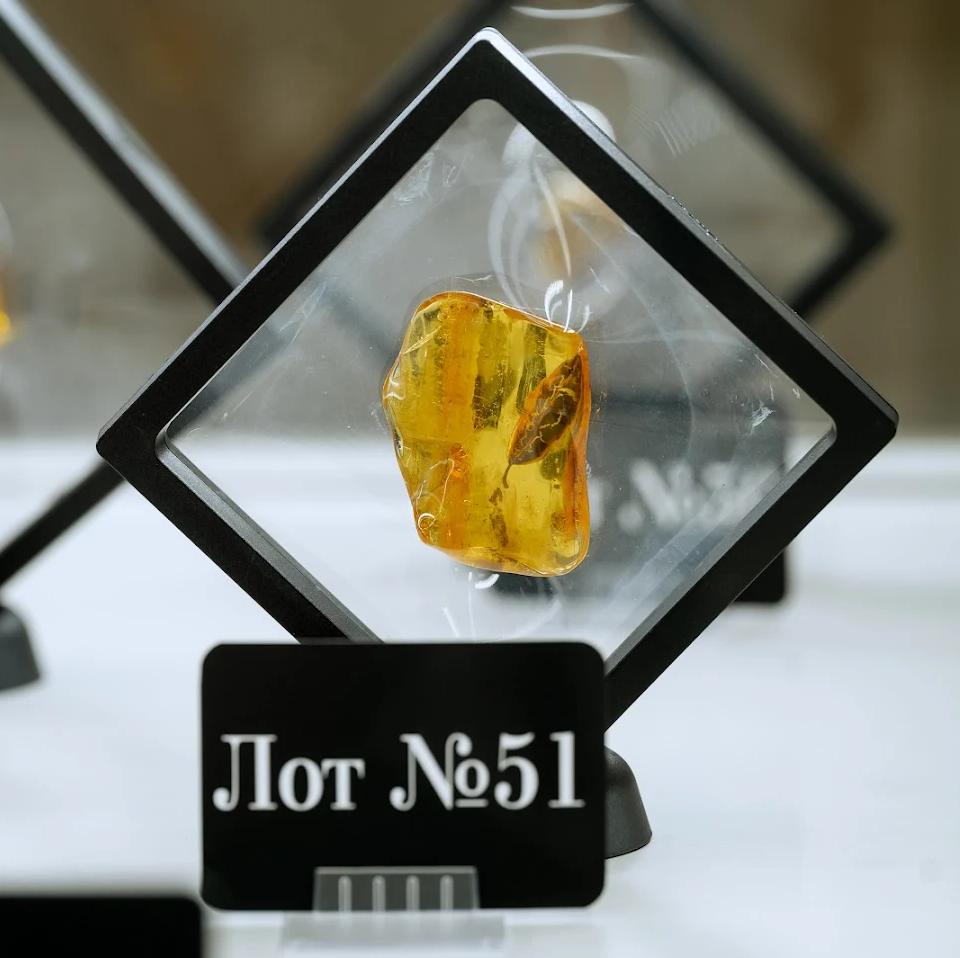 Инклюз с фрагментом доисторического листочка во время аукциона на AmberForum 2024 подорожал в 20 раз 